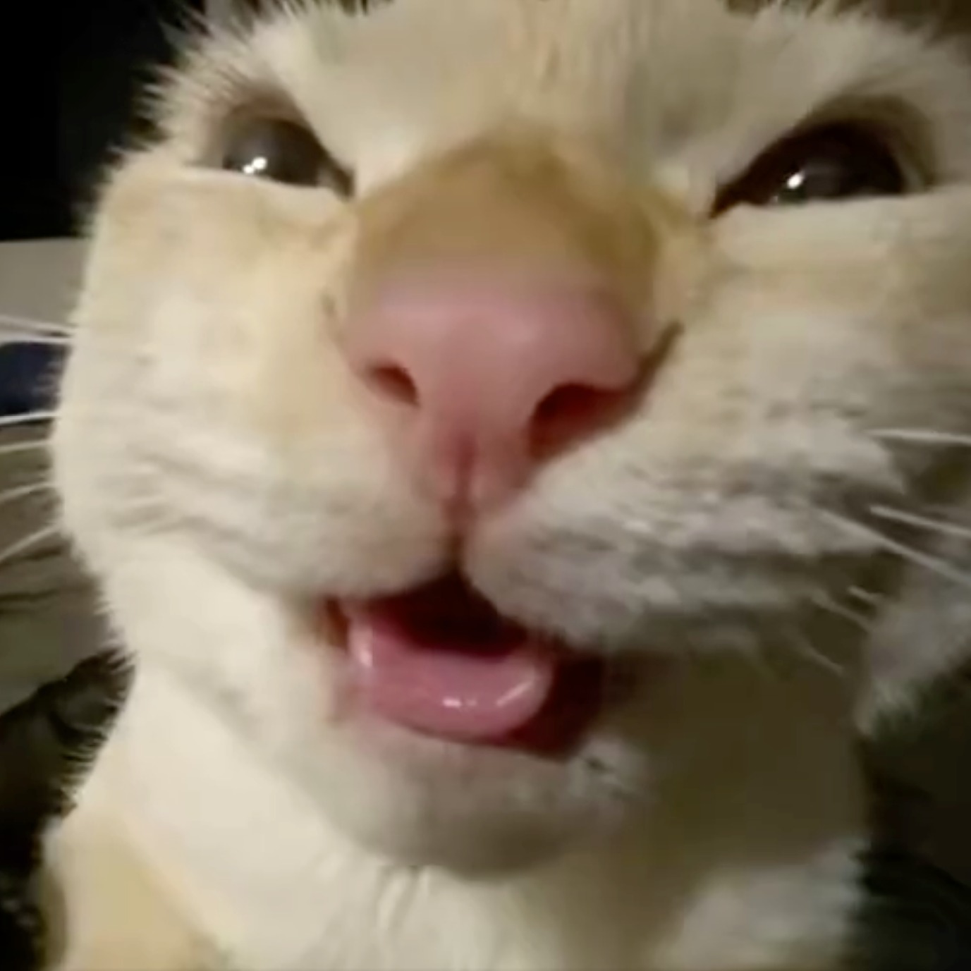 muhehehehe